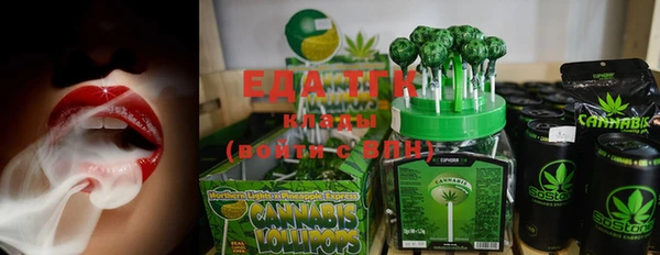 индика Новодвинск