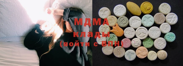 индика Новодвинск