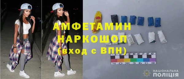 индика Новодвинск