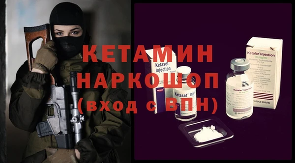 индика Новодвинск