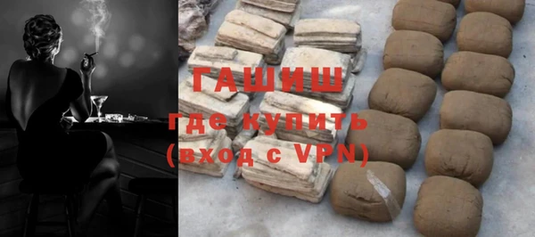 индика Новодвинск