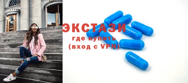 индика Новодвинск