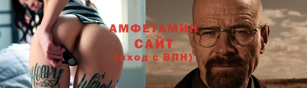 индика Новодвинск