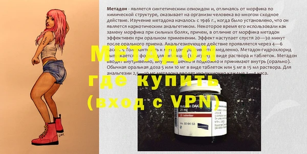 индика Новодвинск