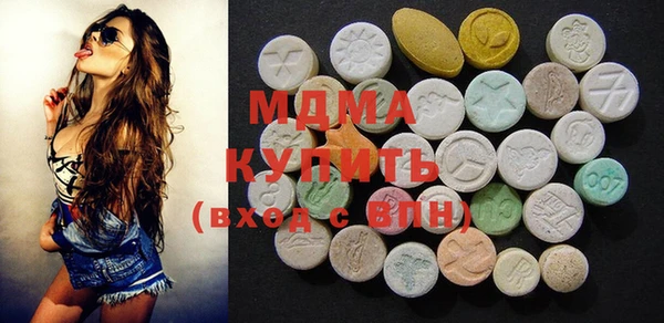 индика Новодвинск