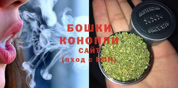 индика Новодвинск