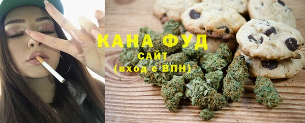 индика Новодвинск