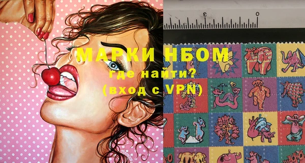 индика Новодвинск