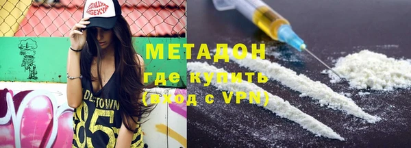 индика Новодвинск