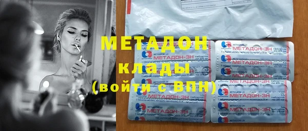 индика Новодвинск
