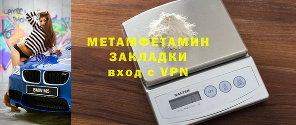 индика Новодвинск