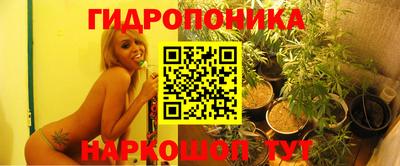 крисы Балашиха