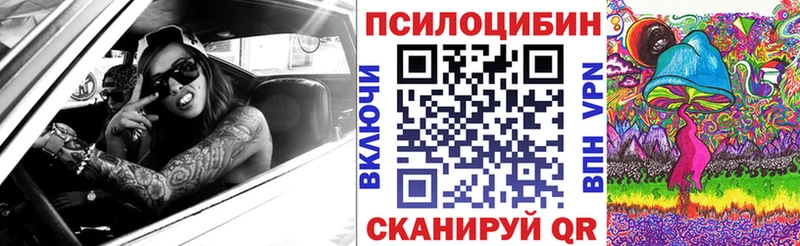 Галлюциногенные грибы MAGIC MUSHROOMS  купить наркотики цена  Павловский Посад 