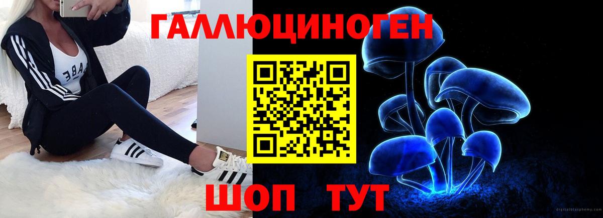 Псилоцибиновые грибы мицелий  Галлюциногенные грибы Psilocybine cubensis  Вход с VPN  Павловский Посад 